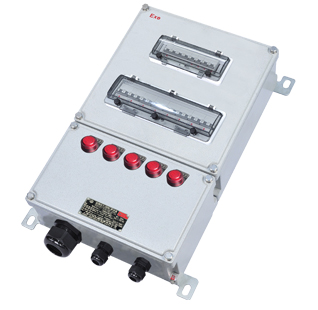 SEQD Series Explosion-proof Power Distribution Box (Electromagnetic Starter)