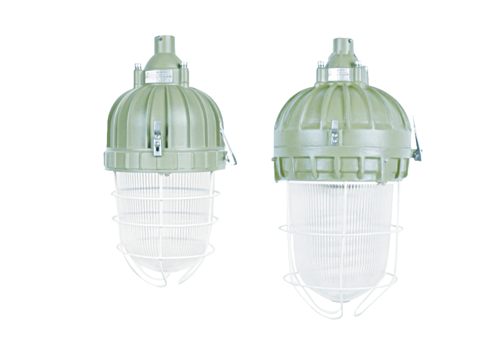 SED55 Series Explosion-Proof Energy-Efficient Lamps