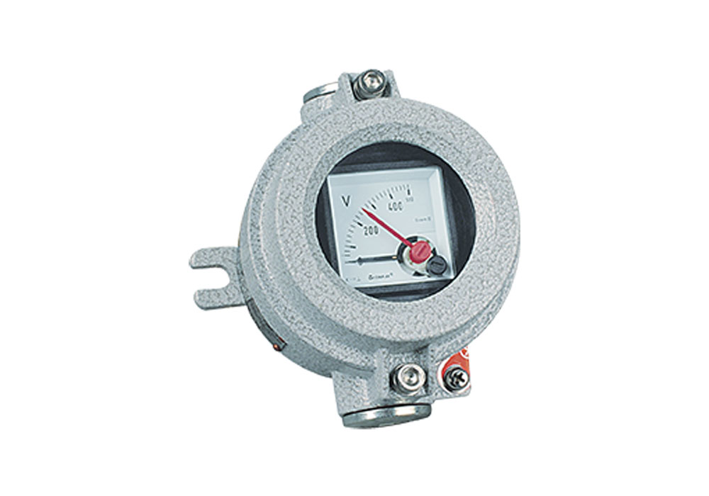 SEQZ53 Explosion Proof Controller