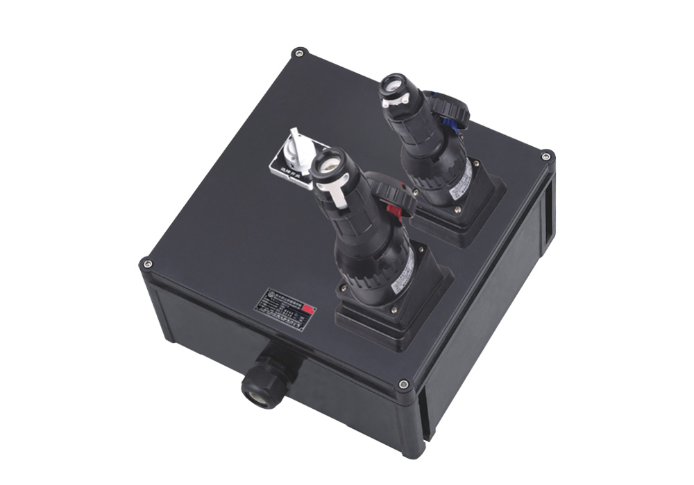 SEXC8050 Series Explosion-proof Maintenance Power Socket Box