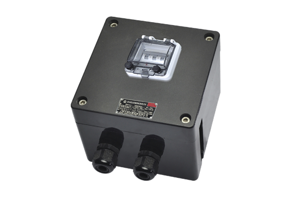 EF Waterproof, Dustproof, and Corrosion-Resistant Lighting (Changeover) Switch (Engineering Plastic)