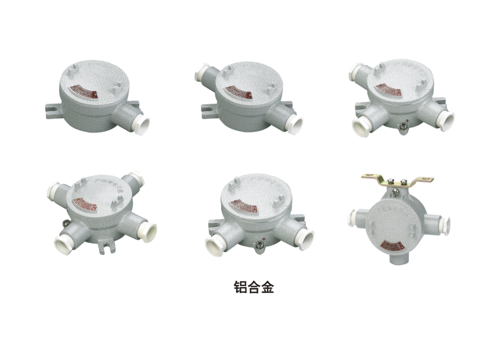 EFAH-Waterproof, Dustproof, and Corrosion-Resistant Wiring Box (Aluminum Alloy, Stainless Steel, Carbon Steel)
