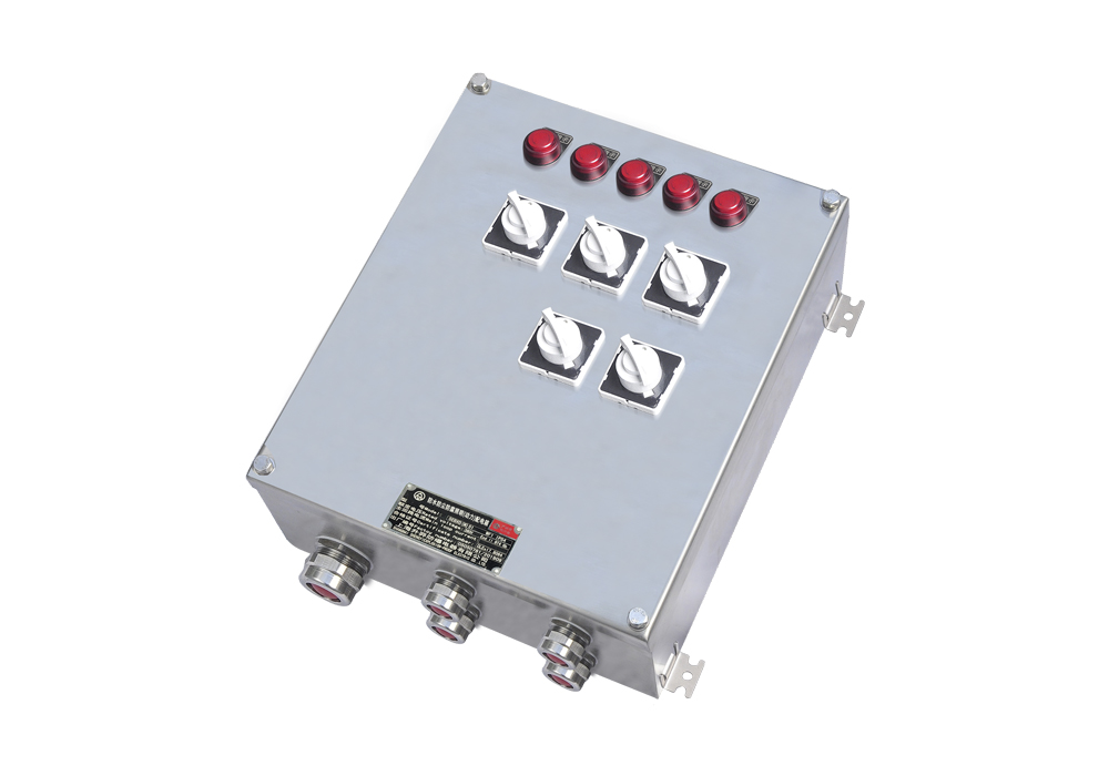 EFM(D) Waterproof, Dustproof, and Corrosion-Resistant Lighting (Power) Distribution Box (Stainless Steel/Carbon Steel)