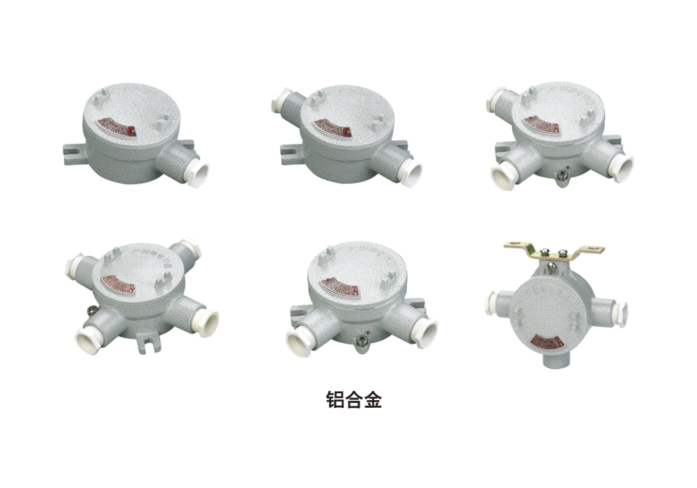 SEAH Series Explosion-Proof Junction Boxes (Aluminum Alloy/Cast Steel)